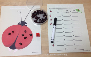 Roll A Dot Ladybug Addition at Trillium Montessori