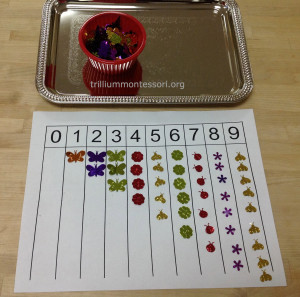 Count and Glue bugs at Trillium Montessori