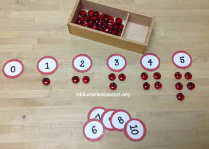 Counting Ladybugs at Trillium Montessori