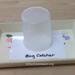 Classroom bug catcher at Trillium Montessori