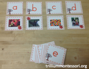 Halloween and Fall Theme Alphabet and Initial Sound Sorting Cards