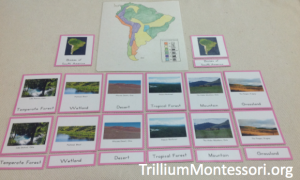 Biomes of South America