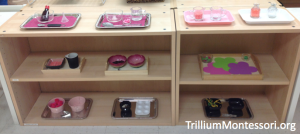Fine Motor Shelf Pink to go with Montessori South America Unit