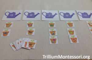 In the Garden Middle Vowel Sorting