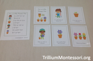In the Garden Poem and Sequencing Cards
