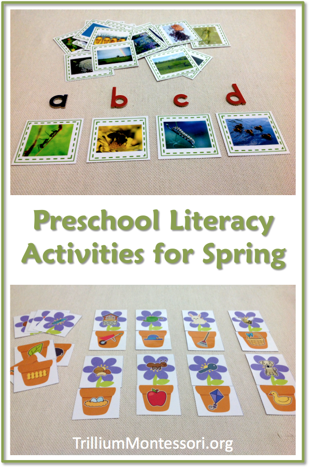 Spring vocabulary activity for preschool and kindergarten. Spring Montessori printable 3-part cards