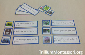 Spring Phonetic Reading Sentence and Picture Cards